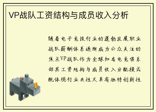 VP战队工资结构与成员收入分析